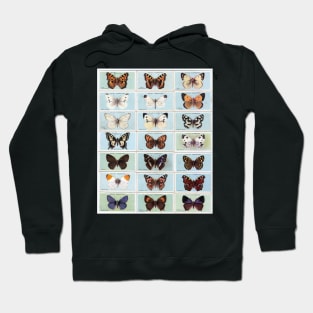 BUTTERFLY COLLECTION MATCHBOX SERIES BUTTERFLIES BOTANICAL GARDEN Hoodie